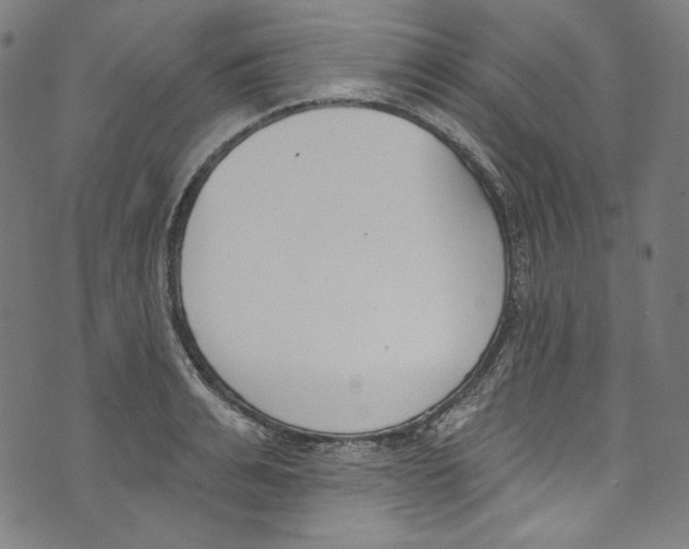 X0000073970991200609181447