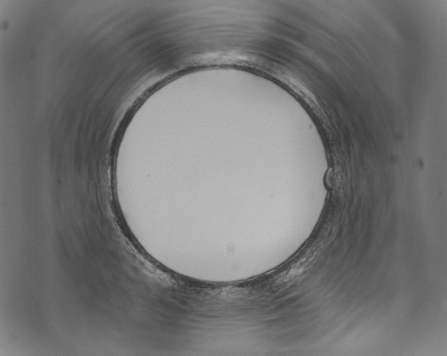 X0000073970992200609181447