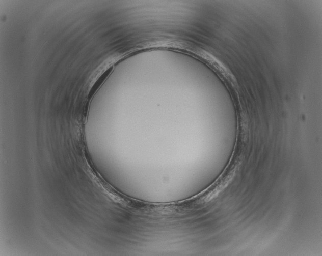 X0000073970993200609181447