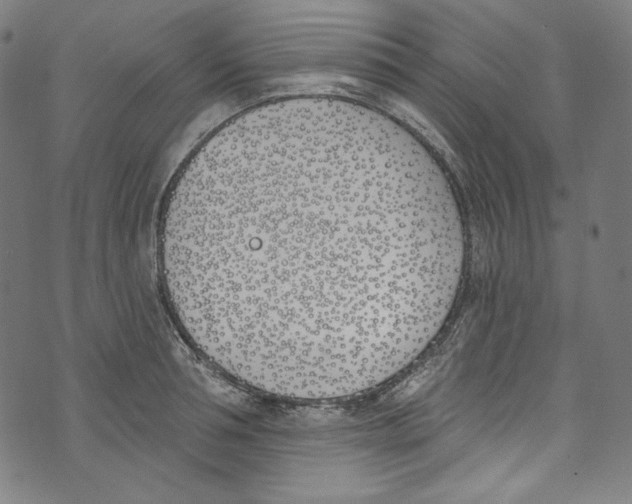 X0000073970994200609181447