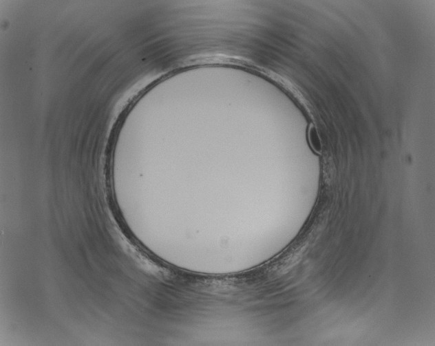 X0000073970995200609181447