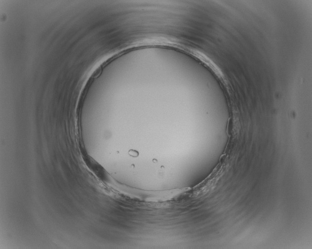 X0000073970996200609181447