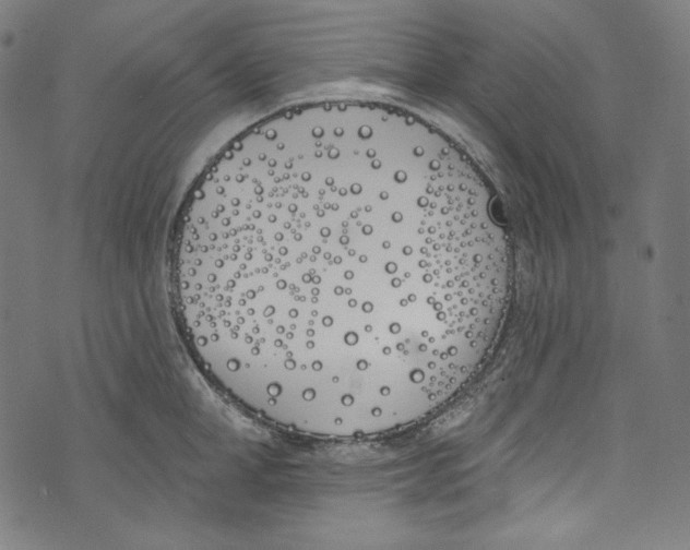 X0000073970998200609181447