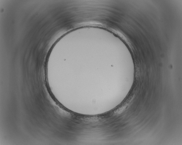 X0000073970999200609181447