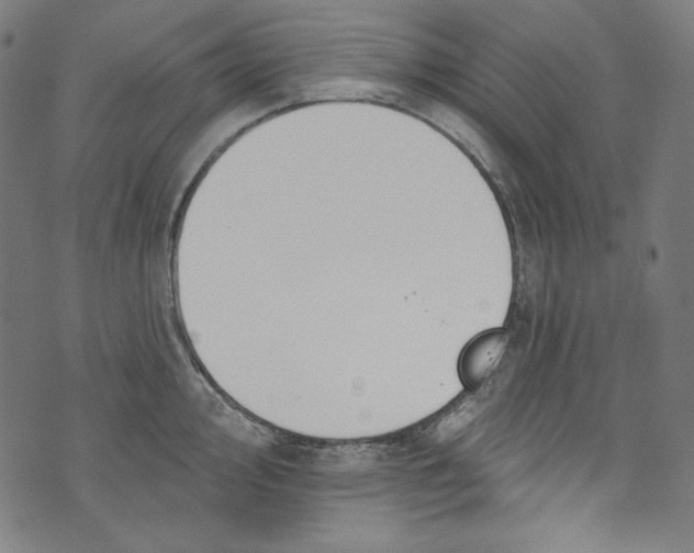 X0000073971000200609181447