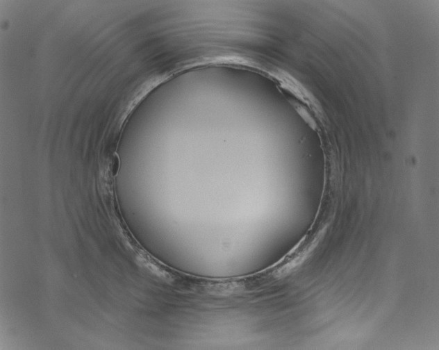 X0000073971001200609181447