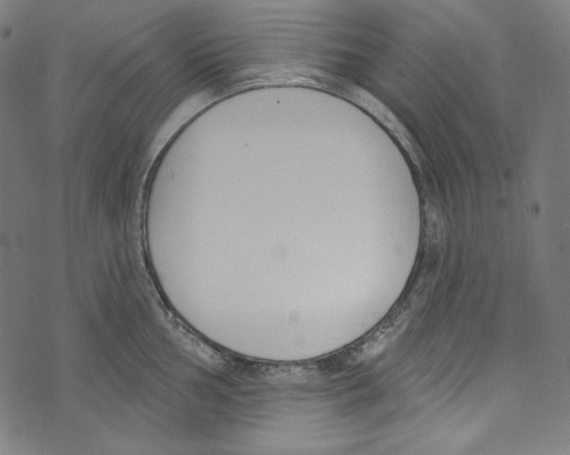 X0000073971002200609181447