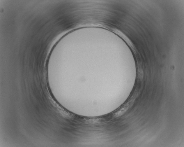 X0000073971004200609181447