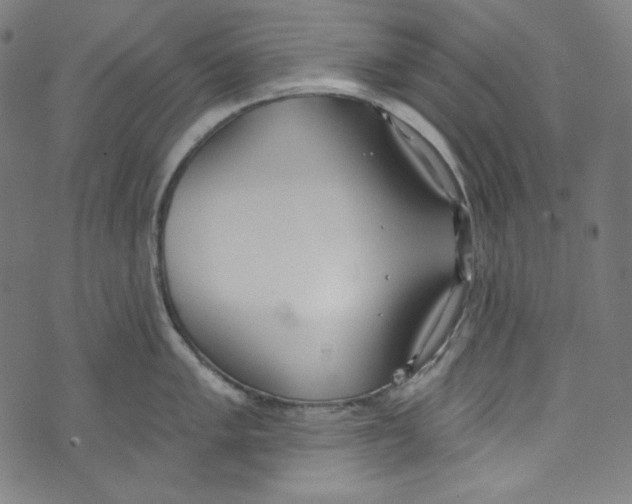 X0000073971005200609181447