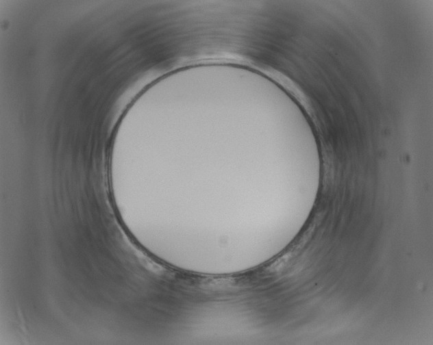 X0000073971006200609181446