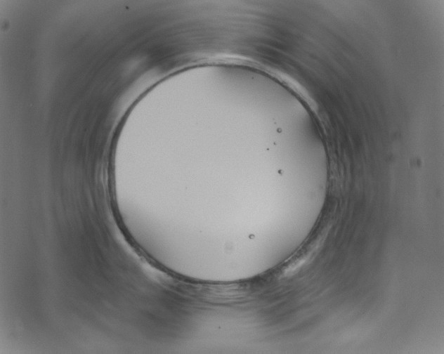 X0000073971007200609181446