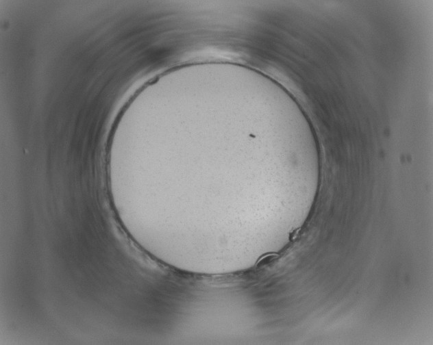 X0000073971008200609181446