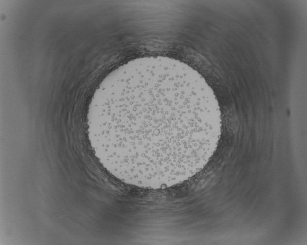 X0000073971009200609181446