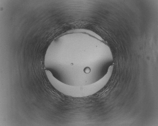 X0000073971010200609181446