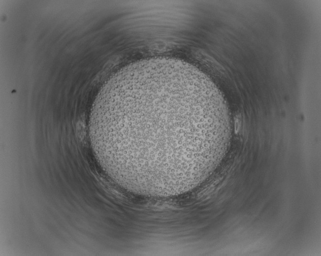 X0000073971011200609181446