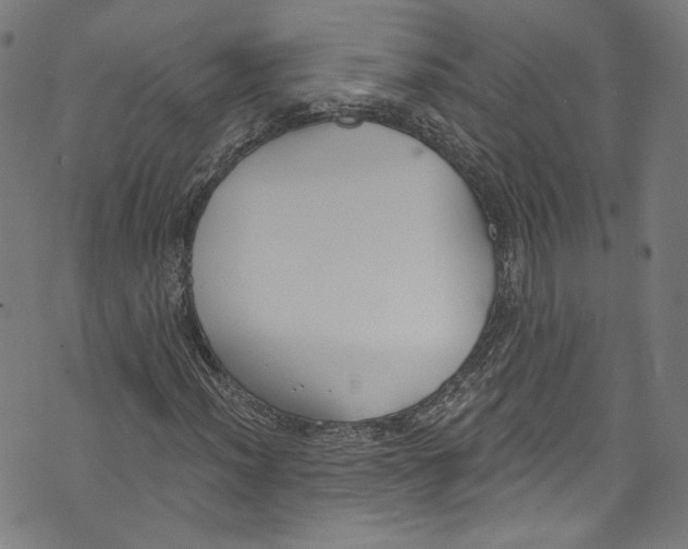 X0000073971012200609181446