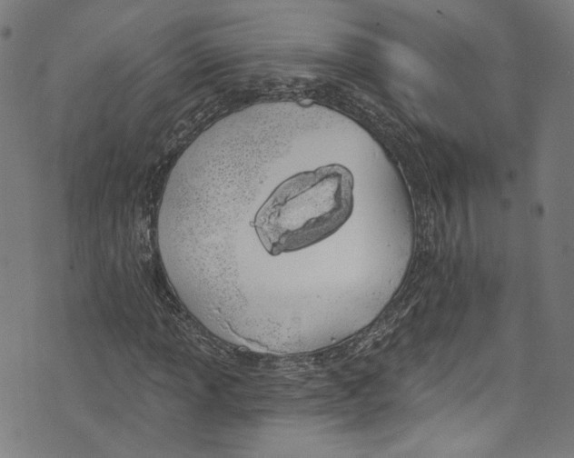 X0000073971013200609181446