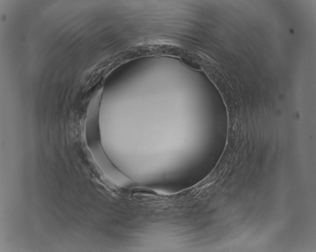 X0000073971014200609181446