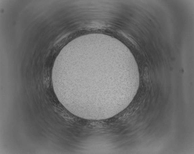 X0000073971015200609181446