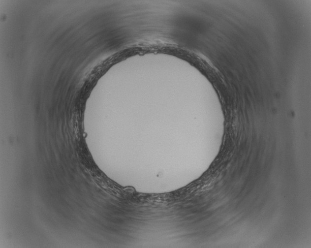 X0000073971016200609181446