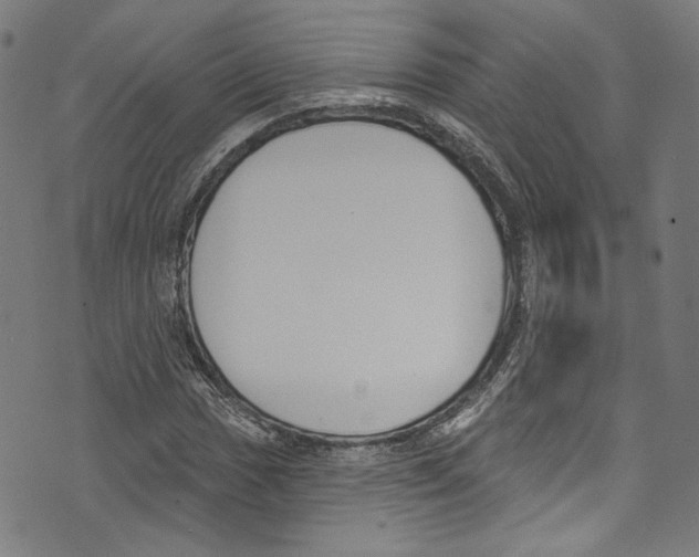 X0000073971017200609181446