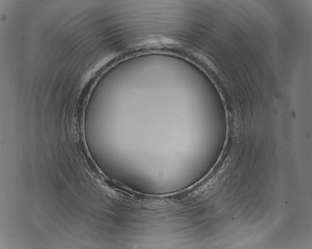 X0000073971018200609181446