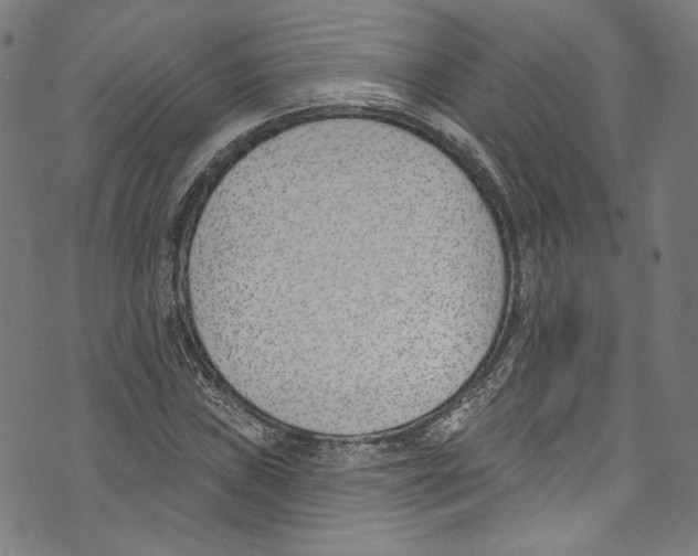 X0000073971019200609181446