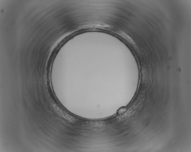 X0000073971020200609181446