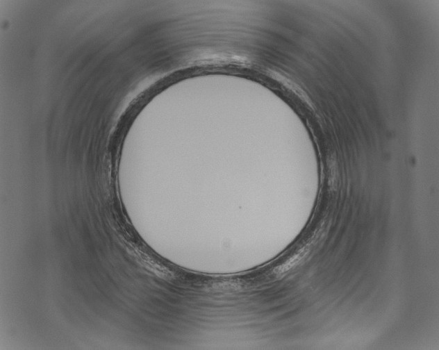 X0000073971021200609181446