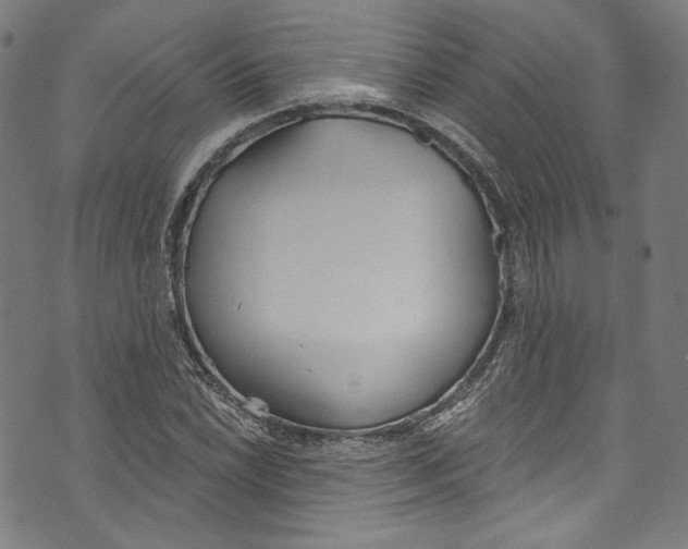 X0000073971022200609181446