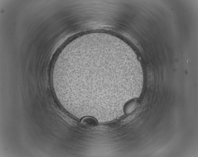 X0000073971023200609181446