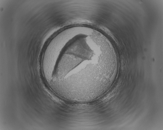 X0000073971024200609181446