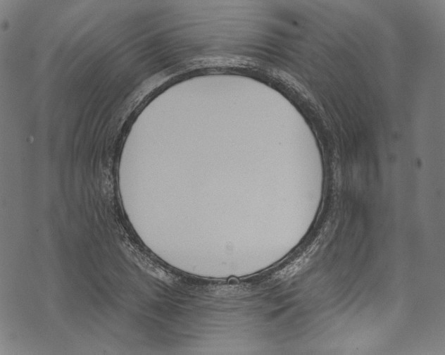 X0000073971025200609181446