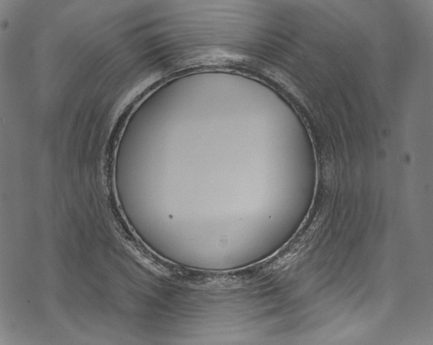 X0000073971026200609181446