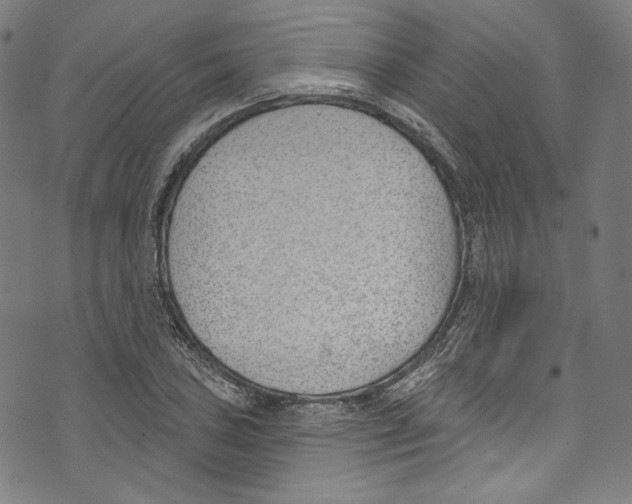 X0000073971027200609181446