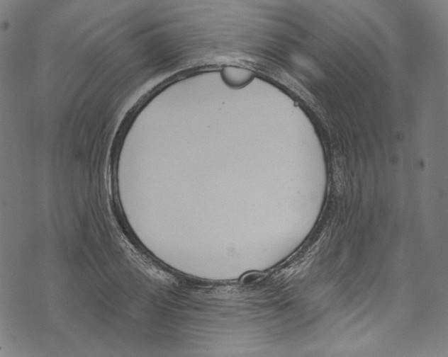 X0000073971028200609181446