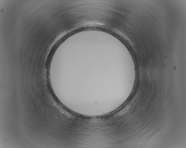 X0000073971029200609181446