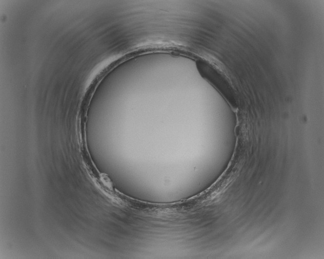 X0000073971030200609181446