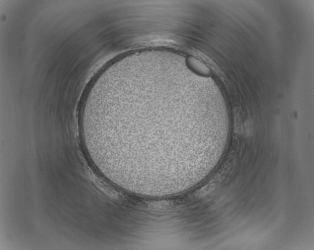 X0000073971031200609181446