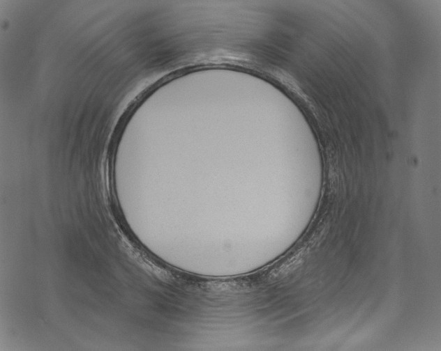 X0000073971032200609181446