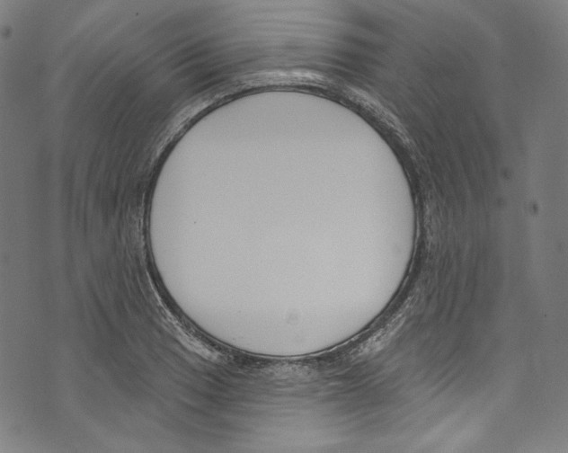 X0000073971033200609181446