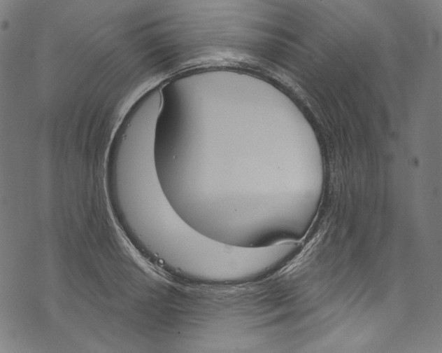 X0000073971034200609181446