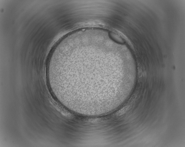 X0000073971035200609181446