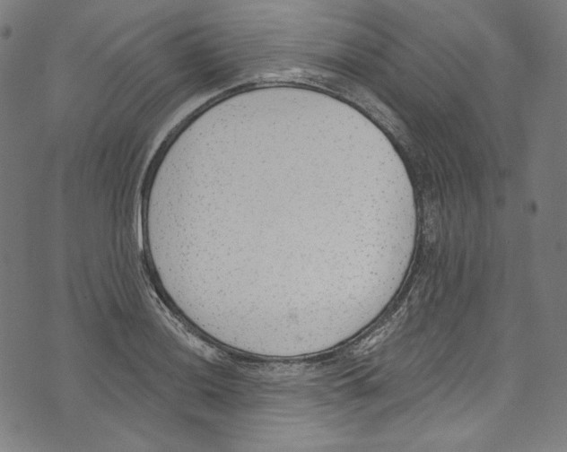 X0000073971036200609181446