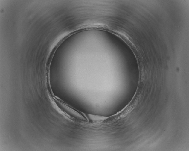 X0000073971038200609181446