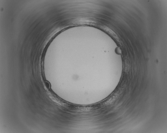 X0000073971039200609181446