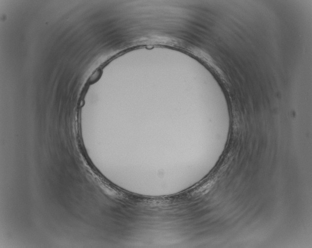 X0000073971040200609181446