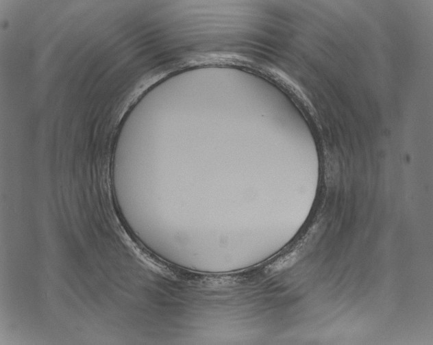 X0000073971041200609181446