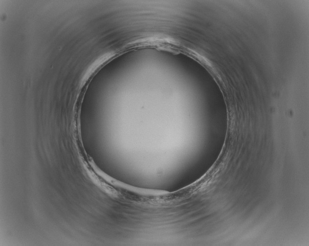 X0000073971042200609181446