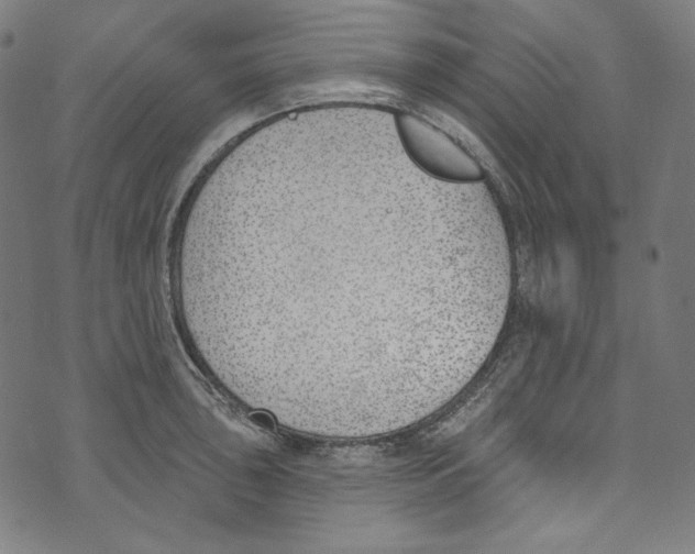 X0000073971043200609181446